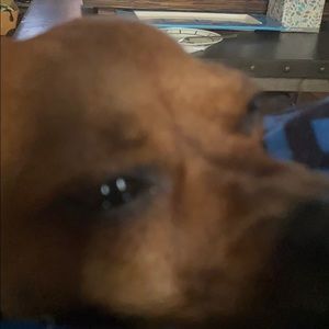 Meet your Posher, Sky